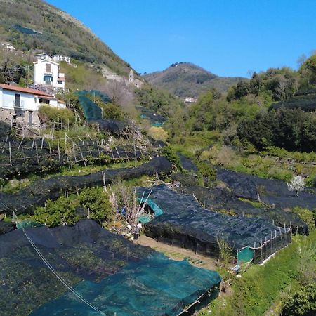 Apartament Antica Cartiera Sant'Elia Tramonti Zewnętrze zdjęcie